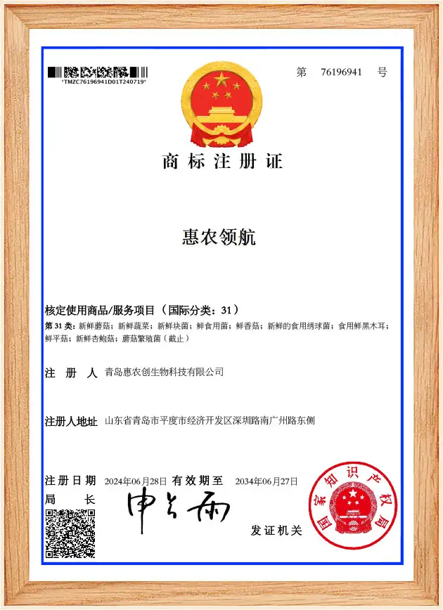 Trademark Registration Certificate