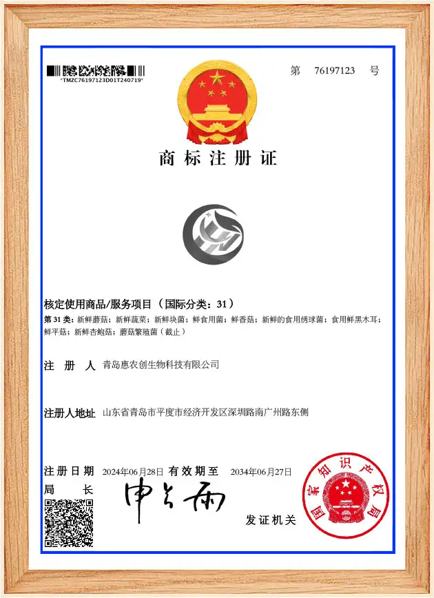 Trademark Registration Certificate