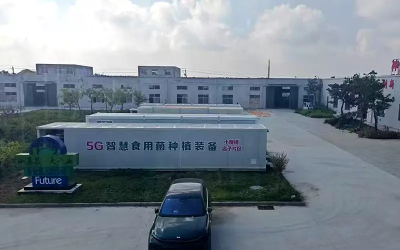 Factory case study Factory case study