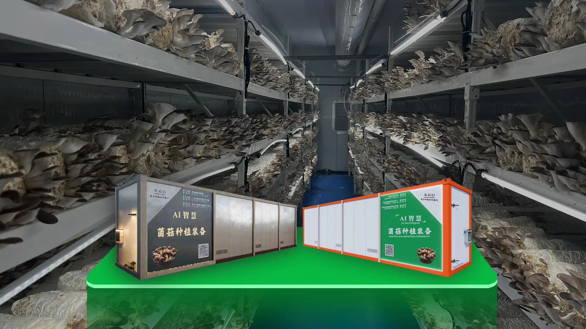 Rare mushroom cultivation equipment supplier