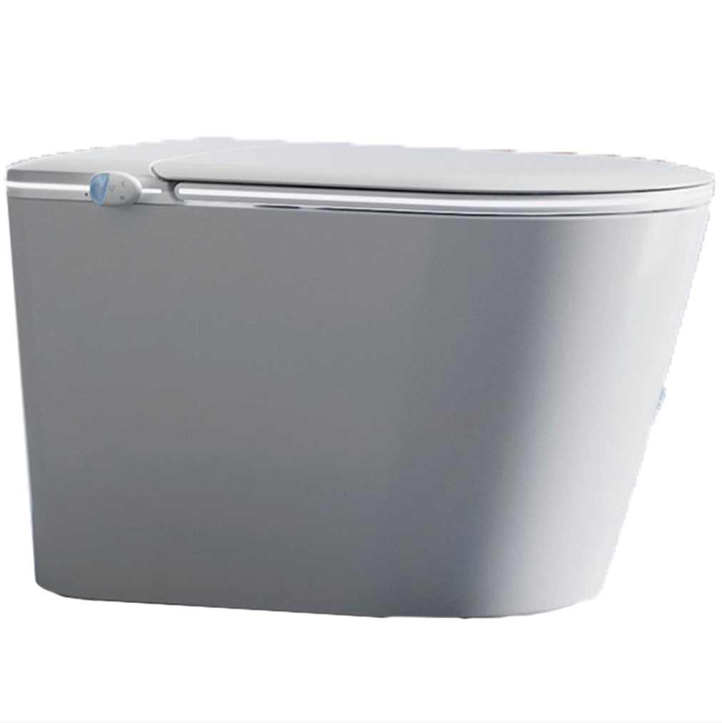 ce certification Luxury elongated smart toilet in China manufacturers