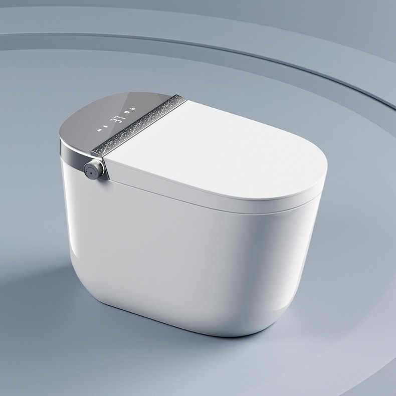 Sustainability and Innovation Drive the Next Phase of Intelligent Toilet Development​