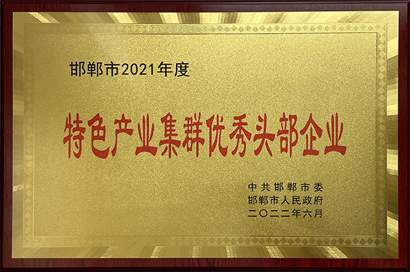 特色產(chǎn)業(yè)集群優(yōu)秀頭部企業(yè)