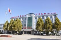 用好政策 苦練內(nèi)功——河北鋼諾新材料股份有限公司董事長 馮紅喜