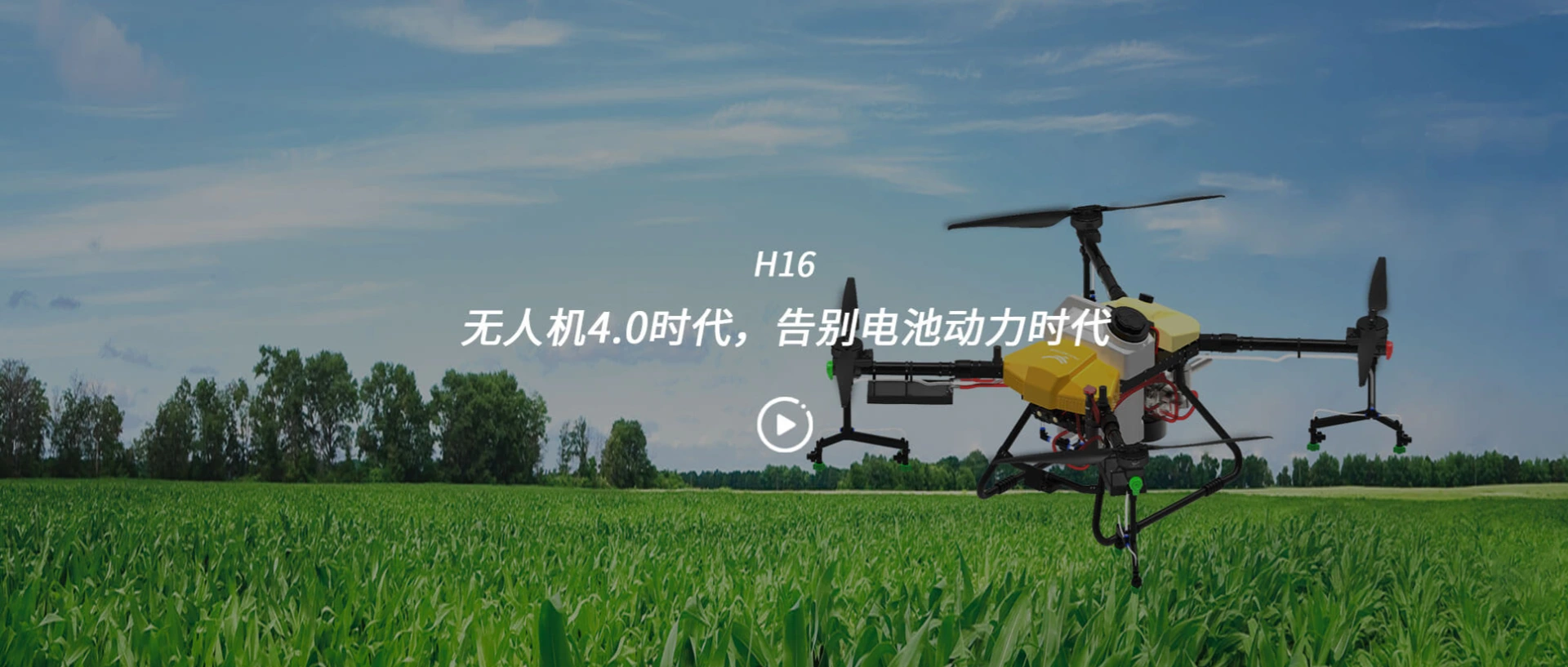 图片名称