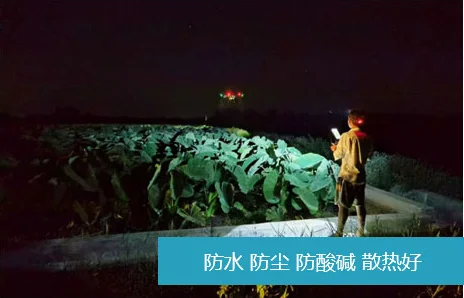图片名称