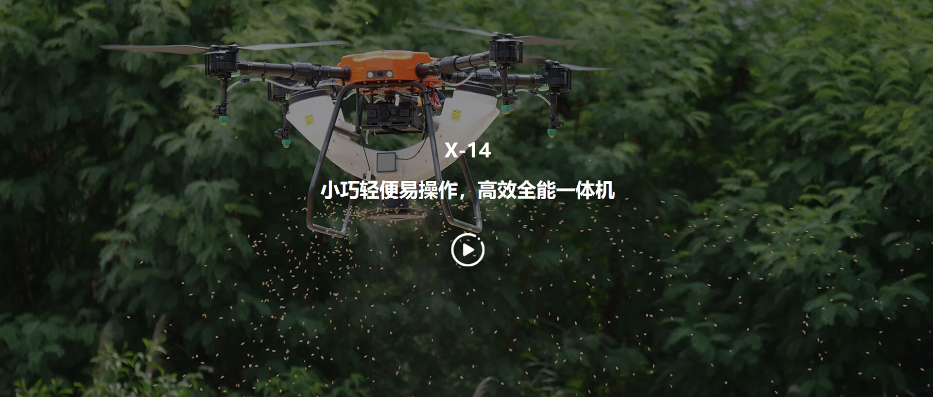图片名称
