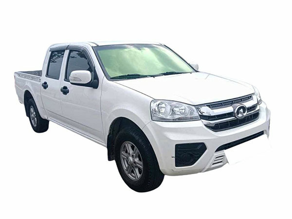Great Wall Motors Fengjun 5