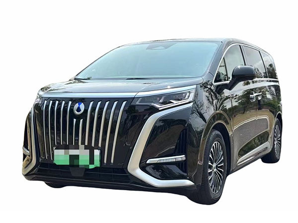 BYD D9 EV