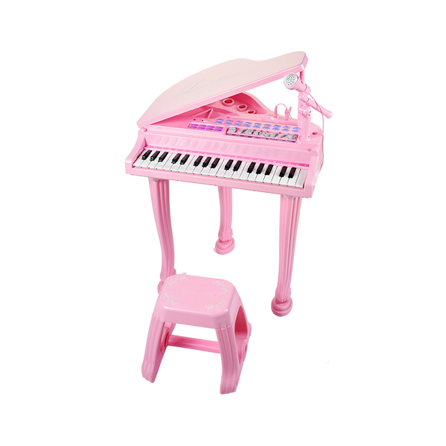 Beautiful Melody Little Princess Piano