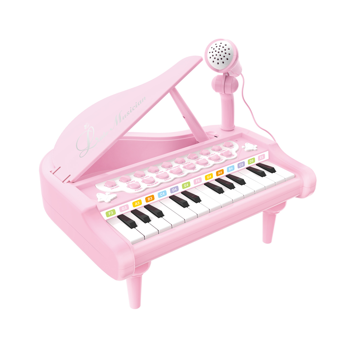 Beautiful Melody Little Musician Piano