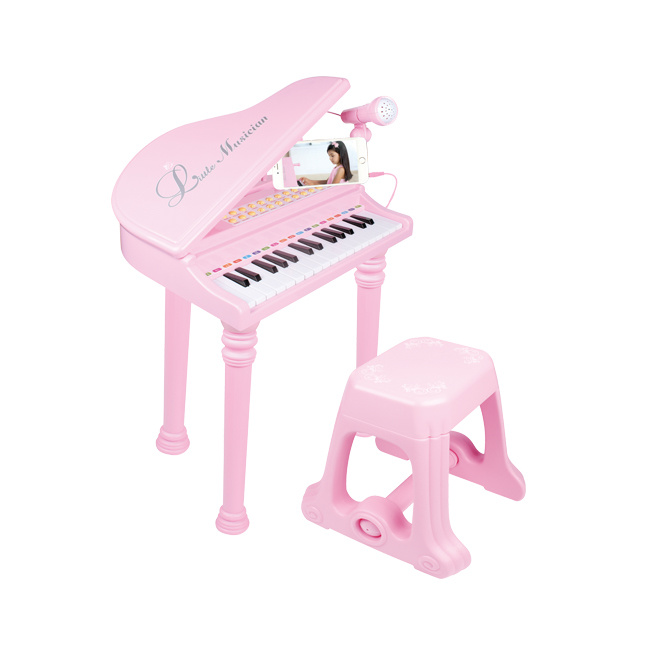 Beautiful Melody Little Musician Piano