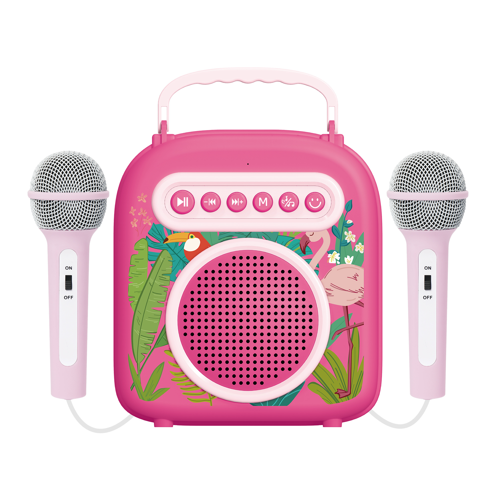 Bluetooth Karaoke Toy
