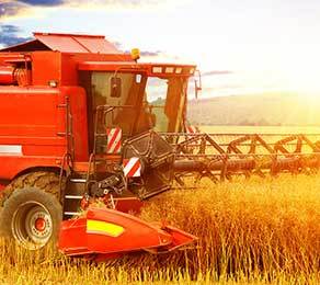 Agriculture Agriculture