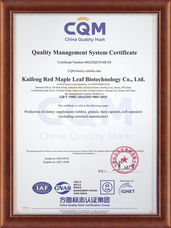 ISO19001