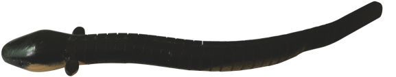 KDK1707