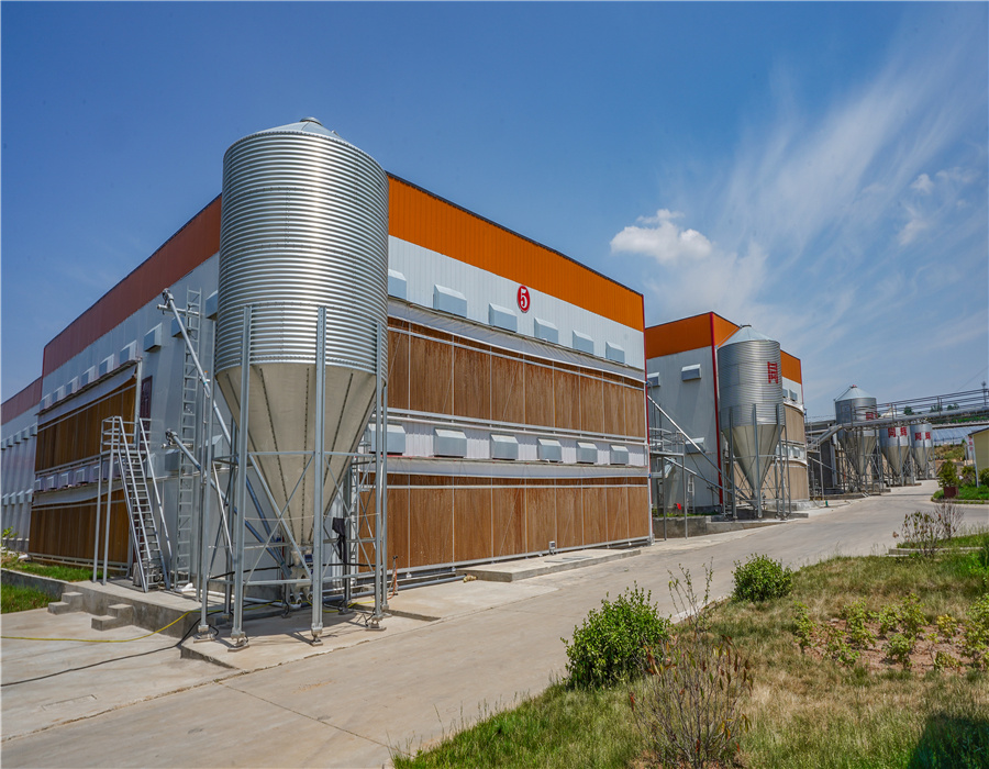 Outside view of chicken farm