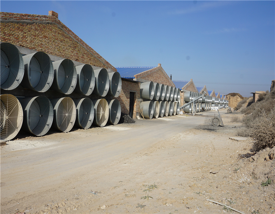 Wind duct fan