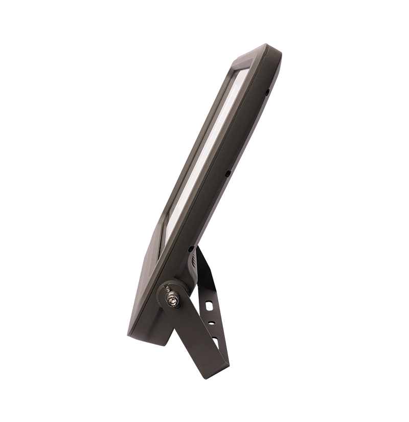 ALT-FG300