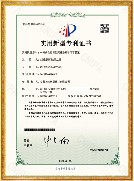 Patent