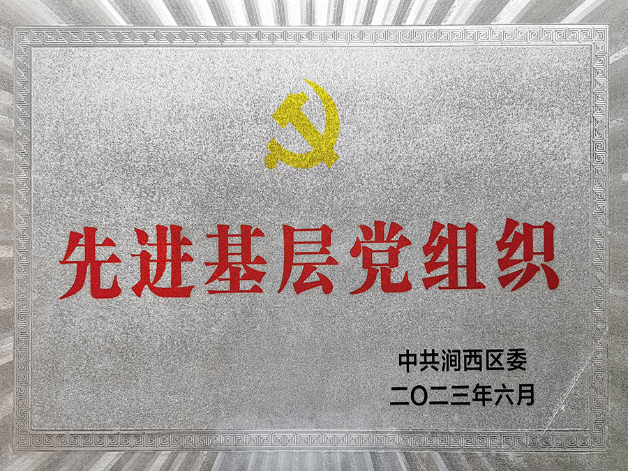 先进基层党组织 先进基层党组织