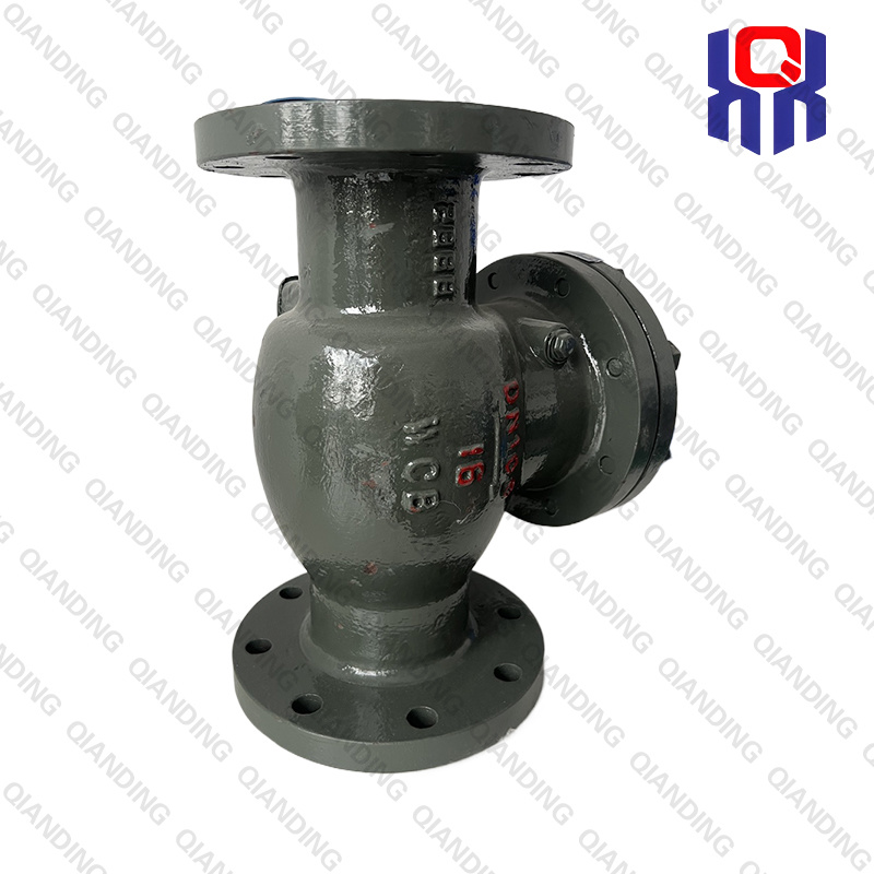 Check Valve