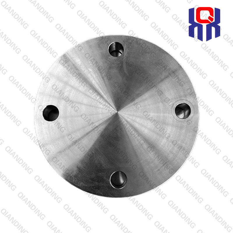 Stainless Steel Blind Blange DIN2527 2205/2507