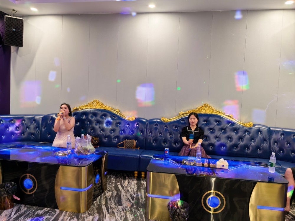 Hoạt động trong năm 2023