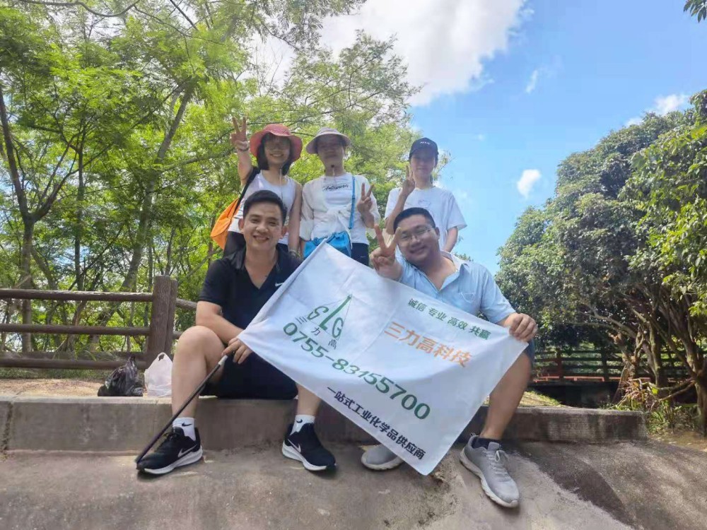 Hội nghị giữa năm