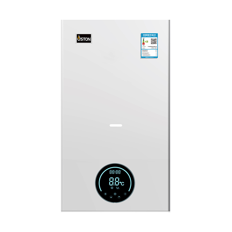 Wall-mounted gas boilers