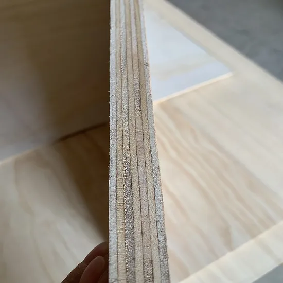 Hot Sale 3mm 5mm 9mm Paulownia Flexible Bent Plywood for Furniture