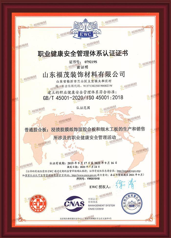 Occupational health and safety management system certification