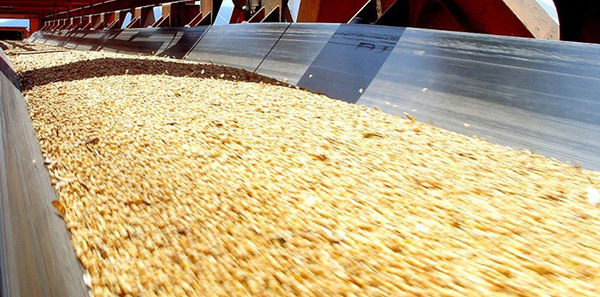 Cold Resistant Conveyor Belt Helps Northeast Mines Operate Efficiently in Winter Cold Resistant Conveyor Belt Helps Northeast Mines Operate Efficiently in Winter