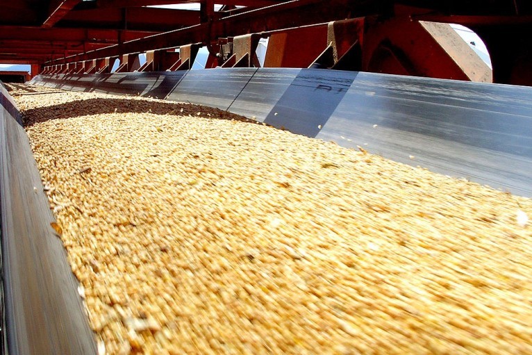 OIL RESISTANT CONVEYOR BELTS