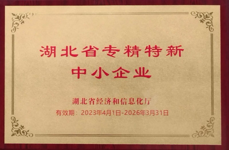 专精特新中小企业 专精特新中小企业