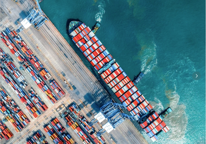 The Impact of Kenya's Policies on China's PVC Exports