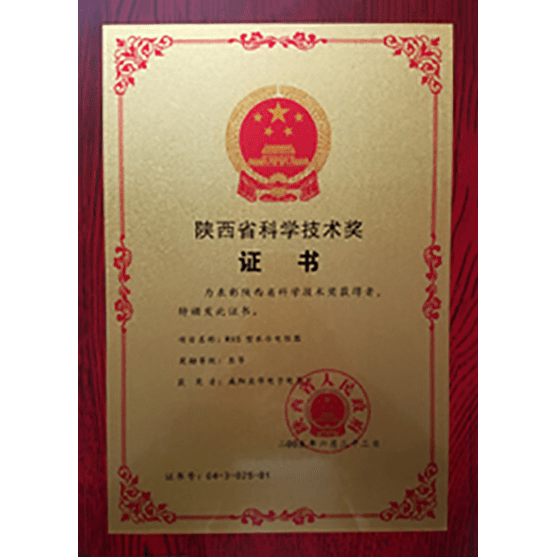 陜西省科學(xué)技術(shù)獎(jiǎng)