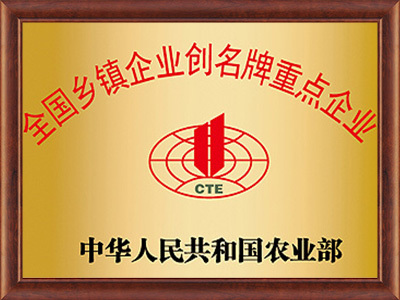 National key enterprises for township and village enterprises brand creation National key enterprises for township and village enterprises brand creation