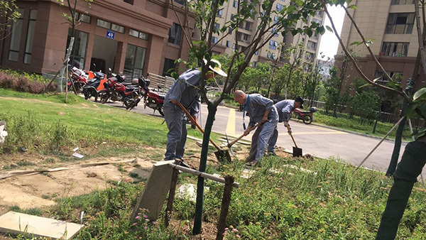 物業(yè)員工與小區(qū)“同心路”的建成