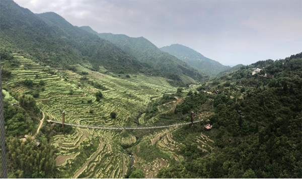 三清山、篁嶺之旅