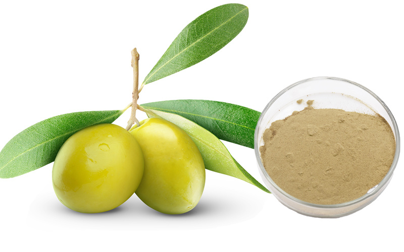 Oleuropein