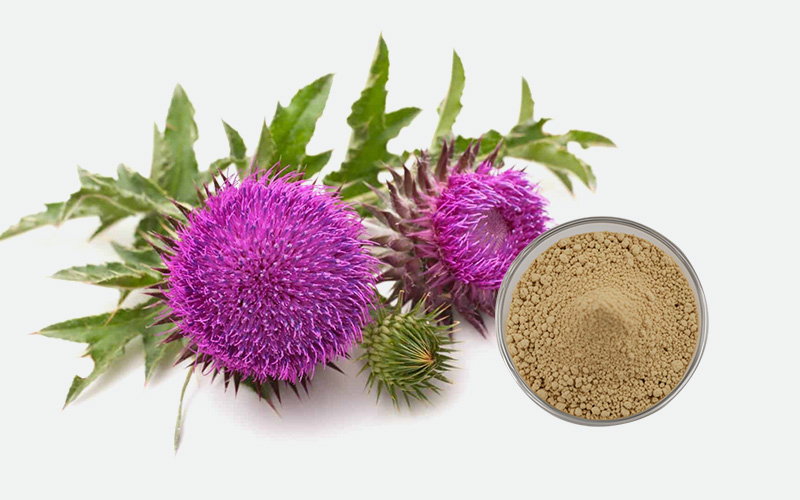 Milk Thistle Series