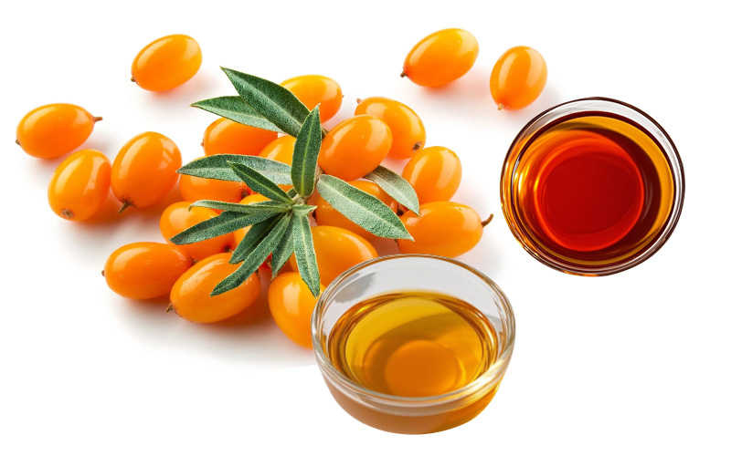 Sea Buckthorn Series