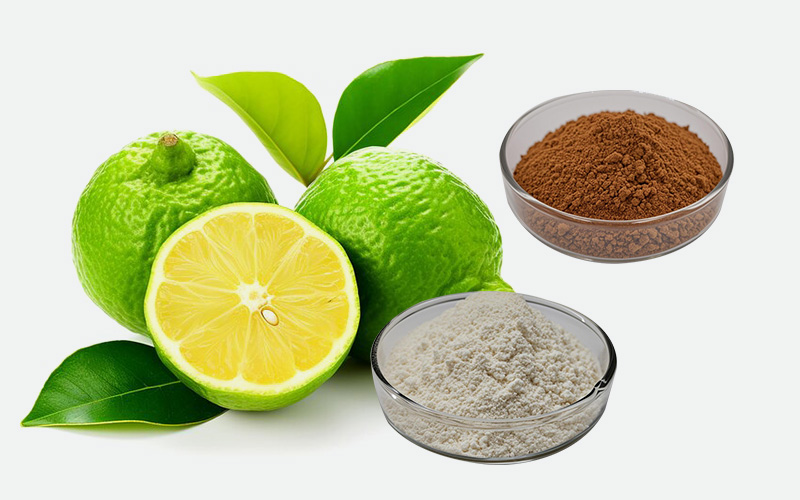 Citrus Aurantium Series