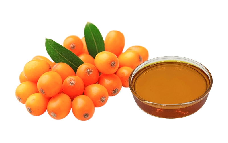 Sea Buckthorn Seed Oil