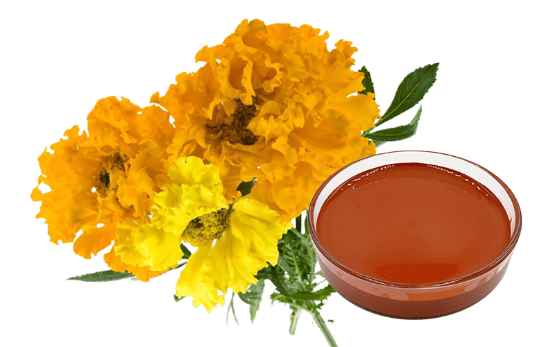 Lutein Oil