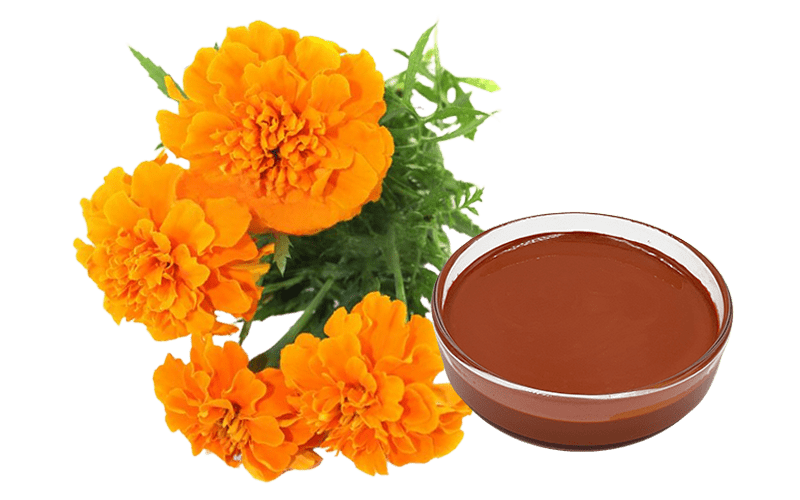 Zeaxanthin Oil