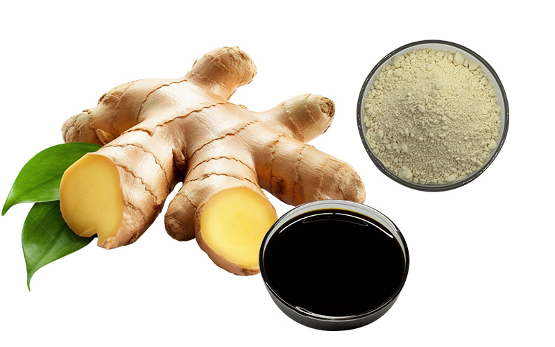 Ginger Series