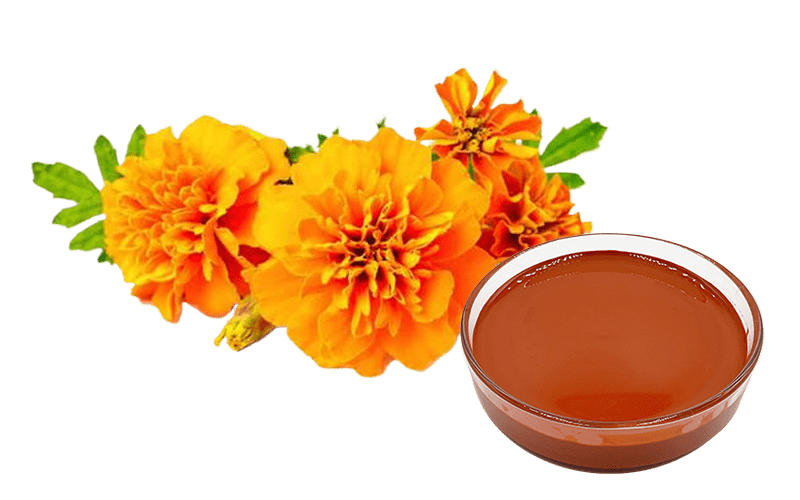 Lutein Ester Oil