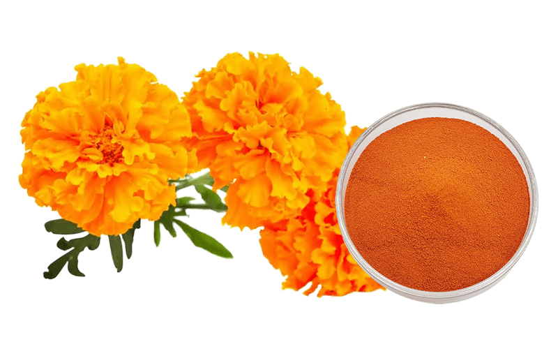 Lutein Ester Powder